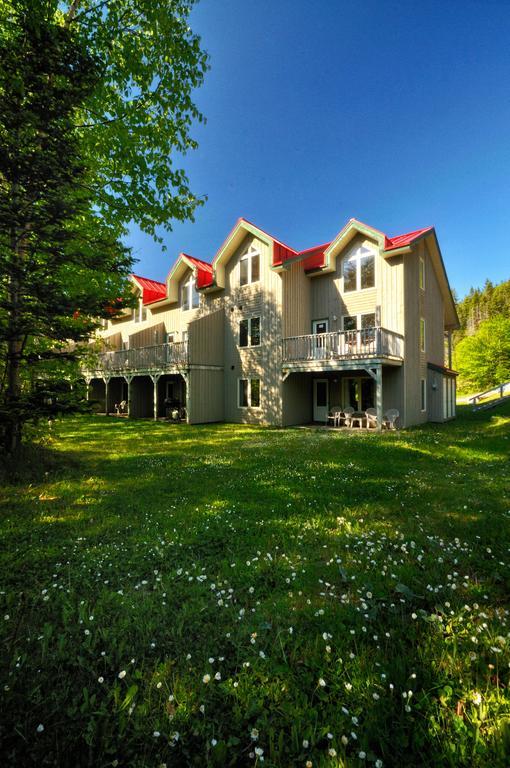 Marblewood Village Resort Steady Brook Quarto foto