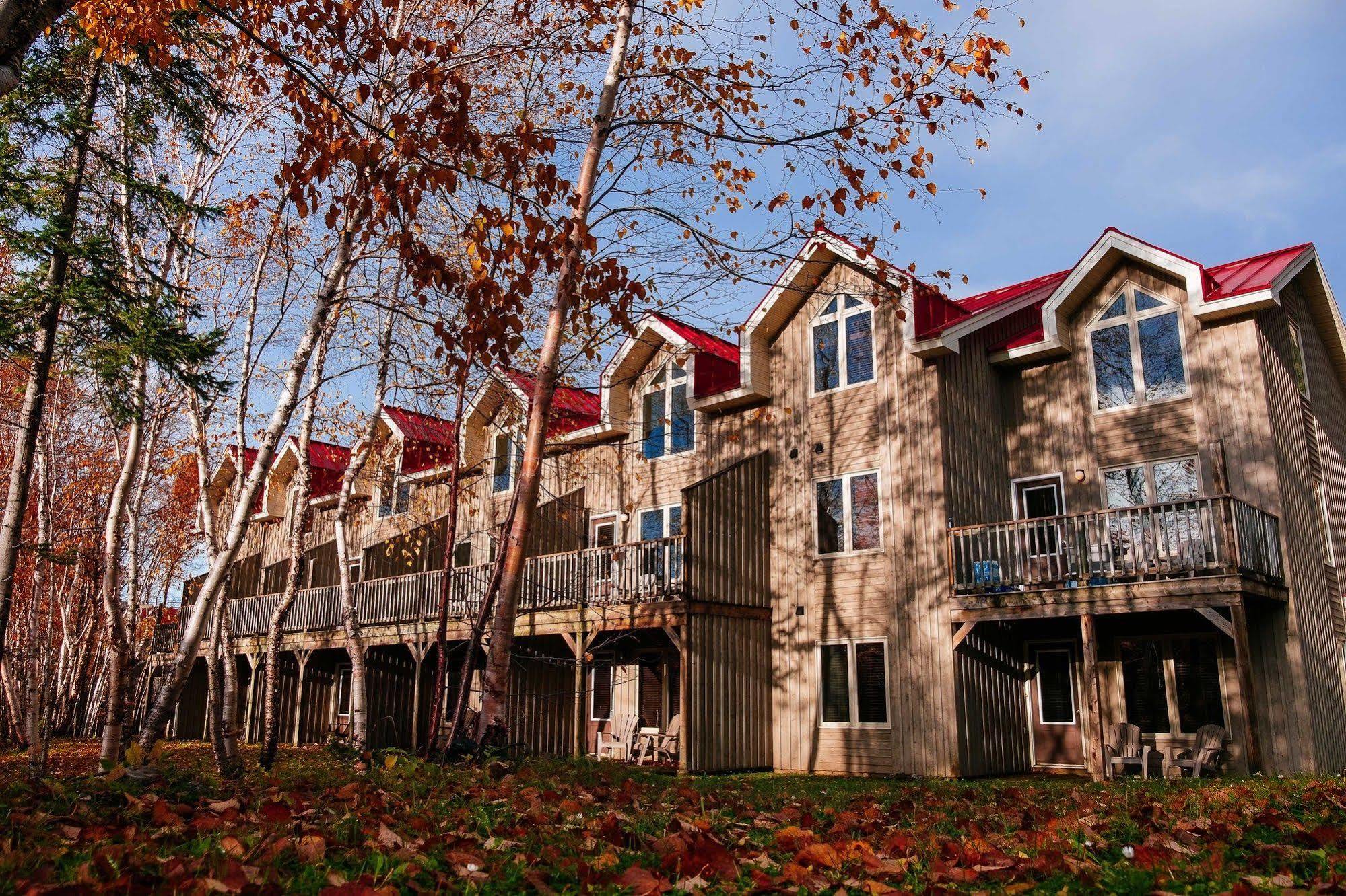 Marblewood Village Resort Steady Brook Exterior foto